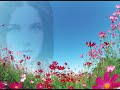 Sweeting The Light by John Trudell Sweeting The Light by John Trudell