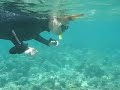 Great Barrier Reef