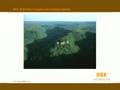 Dogwood Alliance - Paper packaging a problem for our forests