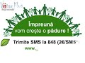 Adopt a tree in Romania by SMS