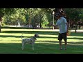 M1CR0 Discdoggin M1CR0 Discdoggin