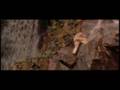 Anaconda Sample