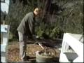 Biogas Digester for the Home