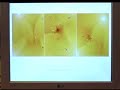 18 Mäuse an einem PC 18 Mäuse an einem PC