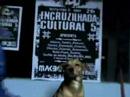 Encruzilhada Cultural 5