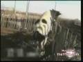 videos de TORO CHISTOSO