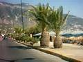 videos de Paralia Kalamata Greece