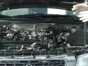 Auto Detailing: Engines & Trunks : Auto Detailing: Engine Precautions Auto Detailing: Engines & Trunks : Auto Detailing: Engine Precautions