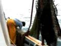 Pesca a l'Ampolla, Golf de Sant Jordi, Far del Fangar