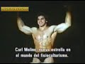 EL INCREIBLE HULK VS. LOU FERRIGNO JUNTO A BILL BIXBY EL INCREIBLE HULK VS. LOU FERRIGNO JUNTO A BILL BIXBY