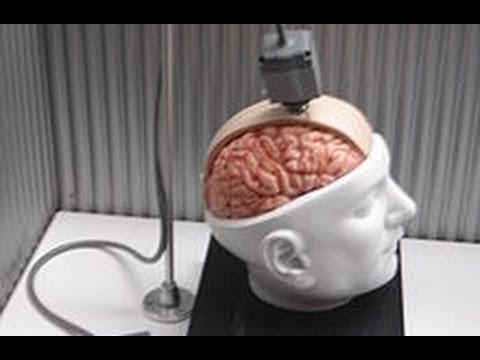 directly - The plan is to have the internet wired directly into your brain and offer humans the ability to be trans-humanist cybernetic Gods. http://www.Facebook.com/Ma...