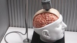 The Internet Wired Directly Into Your Brain: Neural Interfaces