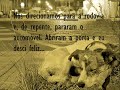 Diário de um Cão