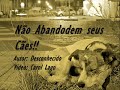 Diário de um Cão