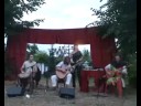fragment koncertu zespo?u 