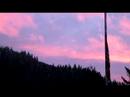 Pink Clouds Float Over Frosty Trees On A Mountain Pink Clouds Float Over Frosty Trees On A Mountain