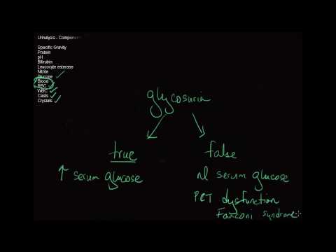 how to read urinalysis