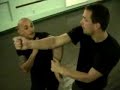 wing chun - application wing chun - application