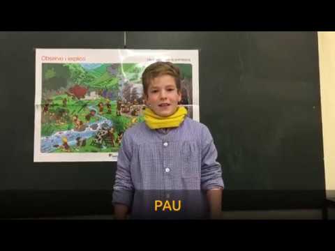 Imatge de previsualització de YouTube