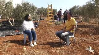 شو بتعرف عن فقوعة؟ شو بتعرف عن فقوعة؟