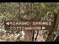 Sidetrack to soaring spring: attracted by the creek