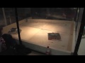 Levyke 09 Robosota 6 kg: Hrumpali vs TVR-09