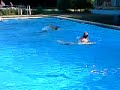 Schwimmbad Action in Osterode mit Dodo und DanSchu