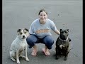 A Dedication to Pit Bulls, Rescuers, & Responsible Owners