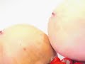 THESE MELONS ARE HUGE!