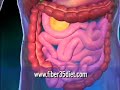 High Fiber Foods - Healthy Weight Loss