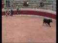 ENCIERRO DOMINGO PALOMARES DEL CAMPO