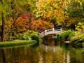 Pictures of Autumn Fall Foliage- Foto Di Panorami d'Autunno