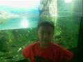 videos de happy birthday brent part 2 @ manila ocea park