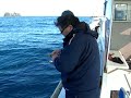 テンヤ釣り スーパーライトタックルで高級魚2