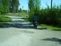 streamy