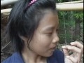 Insect and Bug Munching Wild Jungle Sexy Lady Buri Ram Thailand Wild Crazy Weird Bizarre Strange