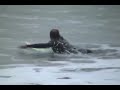 Surf Skol Marbella