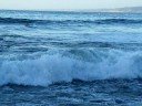 Sponging Secret Beach (La Jolla)