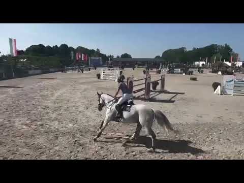 ELLIOT DE GINEAU - MEDIUM TOUR FINAL - CSI LIER - JUNE 2025