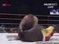 Amazing-MMA-Knockout