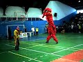 dana-do-leo-chines.html
