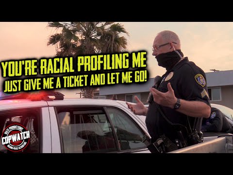 Stolen Vehicle Hot Stop Arrest | Copwatch | United Against Police ...