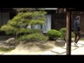 NICE RAINBOW????? -Quick Guide to Naoshima Island-