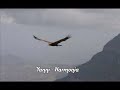 Yanni - Harmonia Yanni - Harmonia