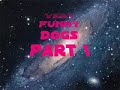 perros chistosos
