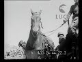 Fronte russo. Glorio