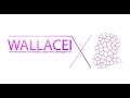 Wallacei X - Visualising The Diamond Chart