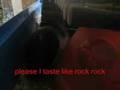videos de Re: Medusa (my python) eats a guinea pig