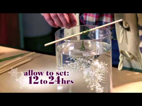 How to Make a “Winter Morning Wreath”