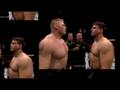 videos de UFC pop ups 2